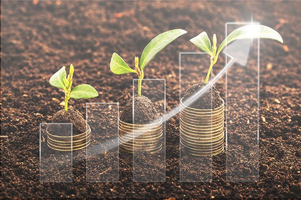 Economic Growth